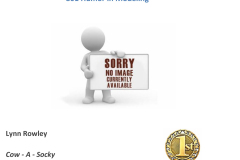 Rpt_Awards_Page_290